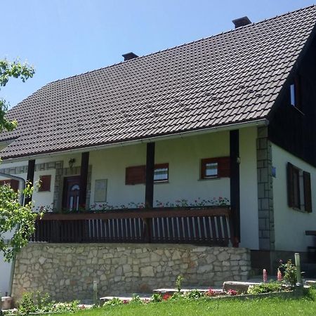 House Elena - Apartment-4 Poljanak Exterior foto
